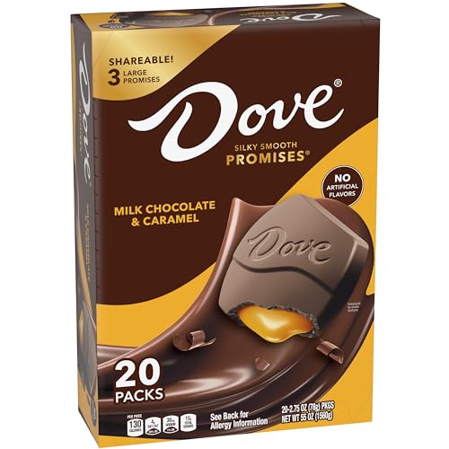 DOVE Large PROMISES Milk Chocolate Caramel Candy, 20 2.75oz Packs per Carton