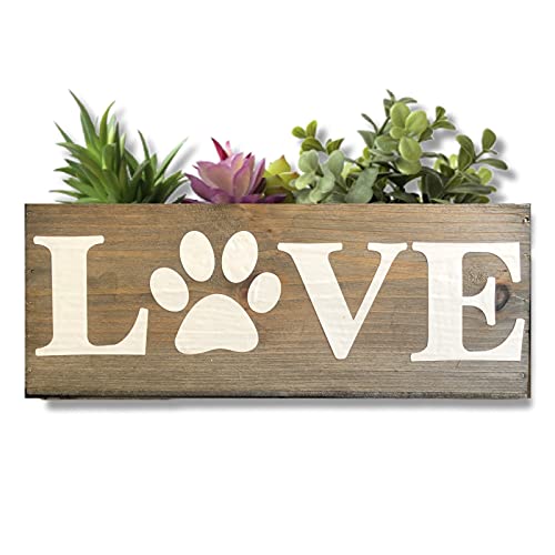 Paw Love Succulent Planter, Cute Gift for Cat and Dog Lovers, Veterinarian, Decorative Bin (10 x 4 x 5 inch rectangle, Natural Brown Wood)