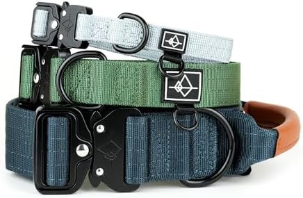 Made to ROAM Premium Dog Collar - Adjustable Heavy Duty Nylon Collar with Quick-Release Metal Buckle (California Horizon, Classic Size 2.5)