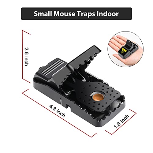 Dvcindy Mouse Traps Indoor for Home Small Mouse Trap for House Mice Snap Trap Effective Sanitary Quick Mouse Catcher - 12 Pack