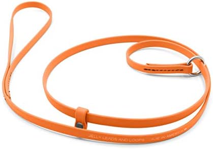 Jelly Pet Grooming Lead for Dogs | Great for Kennels, Veterinarians and Dog Grooming Salons | Biothane Leash - Easy to Clean, Waterproof & Durable Noose Loop | Made in USA | 3/8'' x 4' Hunter Orange