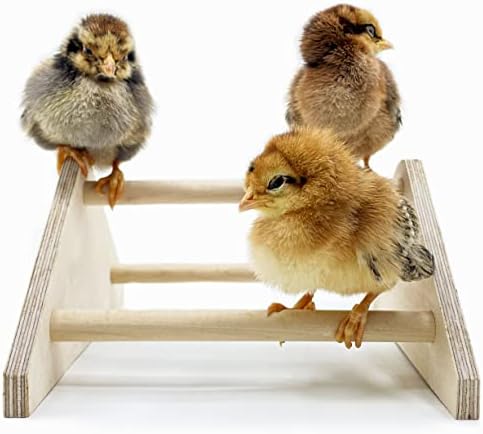 Mini Chick Roosting Perch (2 Pack) Chicken Toys for Coop and Brooder for Baby Chicks El Pollitos La Pollita Pollos Gallinas Polluelos