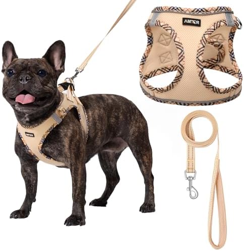 AMTOR Small Dog Harness with Leash Set, No Escape Easy Walk Puppy Harnesses for Training Walking, Step-in Reflective Soft Dogs Vest for XS S Medium Extra-Small Large Sized Dog(Beige,XS)