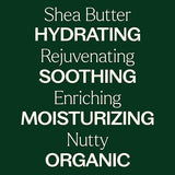 Plant Therapy Organic African Shea Butter Raw, Unrefined USDA Certified 16 oz Jar For Body, Face & Hair 100% Pure, Natural Moisturizer, Best for DIYs Like Lotion, Cream, Lip Balm and Soap