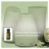 doTERRA Rosemary Essential Oil 15 ml