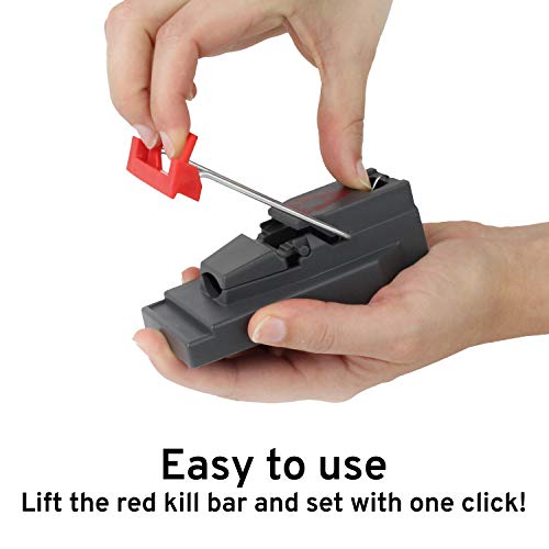 Victor Quick Kill Mouse Trap (Pack of 12 traps) Easy to Set mouse trap