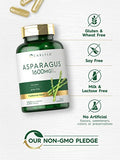 Carlyle Asparagus Supplement | 1600mg | 250 Powder Capsules | Non-GMO and Gluten Free Formula | High Potency Traditional Herb Extract