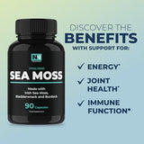 Irish Sea Moss Capsules | With Organic Irish Moss, 300mg Burdock Root & 500mg Bladderwrack Powder | 45-Day Supply | 1300mg Complex | Provides Iodine for Thyroid & Immune Support | 90 Veggie Pills