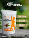 BULKSUPPLEMENTS.COM Organic Chaga Mushroom Powder - Chaga Mushroom Organic, Chaga Mushrooms Powder - Mushroom Supplement, Vegan & Gluten Free, 500mg per Serving, 500g (1.1 lbs) (Pack of 1)