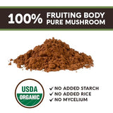 Longevity Botanicals Organic Maitake Mushroom Powder - Ultra Concentrated Maitake Mushroom Extract - Promotes a Balanced Immune System - 100% Fruiting Body - 100 Grams