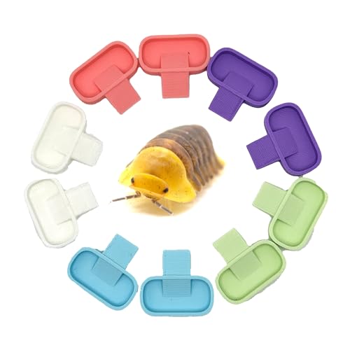 Isopod 10 Pack Feeding Dish | Isopod Food Tray | Insect Dish | Insect Feeder | CTWPets (Pastel Tones)
