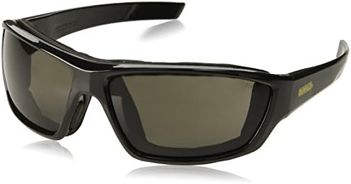 DeWalt DPG83-21 Converter Safety Glasses/Goggles - Black Frame - Smoke Anti-Fog Lens