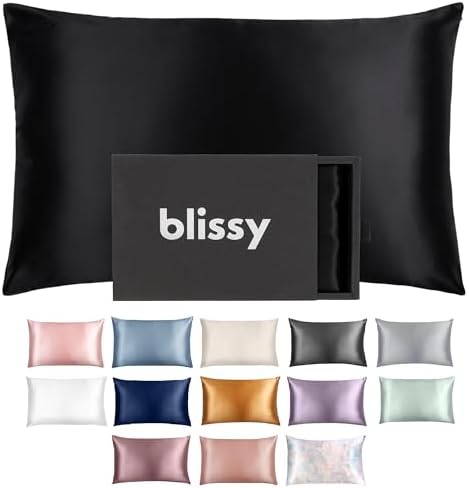 Blissy Silk Pillowcase - 100% Pure Mulberry Silk - 22 Momme 6A High-Grade Fibers - Silk Pillow Cover for Hair & Skin - Regular, Queen & King with Hidden Zipper (Queen, Black)