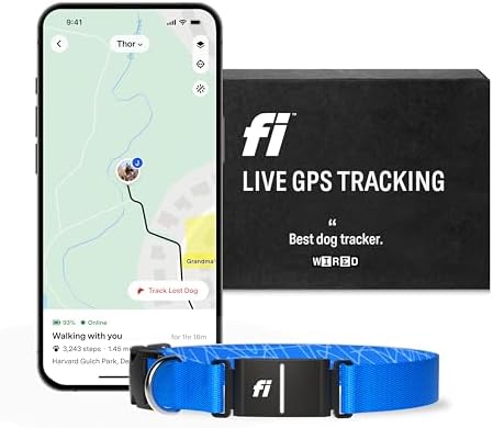 Fi Series 3 Smart Dog Collar - GPS Dog Tracker and Activity & Health Monitor, Waterproof, LED Light, Escape Alerts, Nationwide Coverage [Free 1 Year Membership] (Blue, Large)