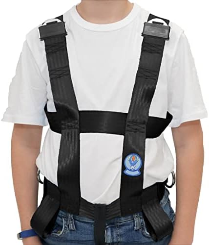 EZ-ON Products 303Z Large Rear Zipper Closure Durable Personal Vehicle User-Friendly Safety Transportation Vest with Seat Belt Loops. Meets NHTSA Regulation. Mount Sold Separately.