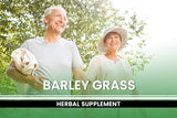 Pure Original Ingredients Barley Grass (365 Capsules) No Magnesium Or Rice Fillers, Always Pure, Lab Verified