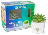 ZendoZones® Fruit Fly Trap 2 Pack, 1 ea of Joyful Janet & Tranquil Tabitha White Base
