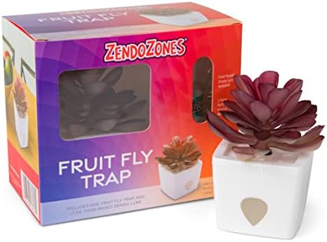 ZendoZones Fruit Fly Traps with Zendo Lure, 2-Pack Mellow Molly & Serene Sandy with Plastic White Base, Refillable and Reusable