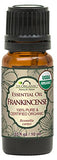 US Organic 100% Pure Frankincense (Boswellia Carteri) Essential Oil - USDA Certified Organic, Use Topically or in Diffuser - Perfect for Yoga or Meditation (10 ml)