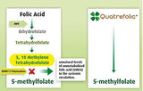 Bplex-Pro Advanced Blend MTHFR with 1000 mcg Quatrefolic. 1500 mcg Methylcobalamin with Amino Acids to Aid in Detox. Intrinsic Factor for B12 Absorption. 60 Veggie Capsules.