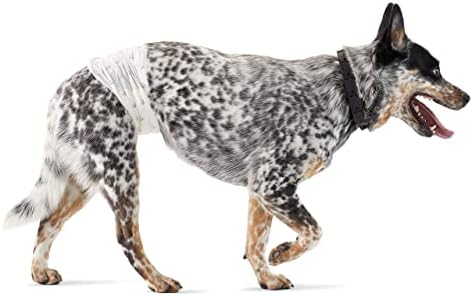 Amazon Basics Absorbent, Leakproof Male Dog Wrap Disposable Diapers, Medium, Pack of 50, White