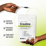 Complement Creatine Monohydrate Micronized Powder for Women and Men (5g per serving, 60 Servings) Pre Workout, Post Workout Muscle Recovery, Brain Health, Longevity- Vegan, Unflavored- 2 Month Supply