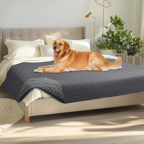 Luciphia 100% Waterproof Couch Cover Blanket for Dogs Anti-Slip Pet Couch Protector Sofa Mat Puppy Cat with Non-Slip Bottom, Grey, 68x82 Inch