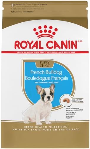Royal Canin French Bulldog Puppy Dry Dog Food, 10.5 lb Bag
