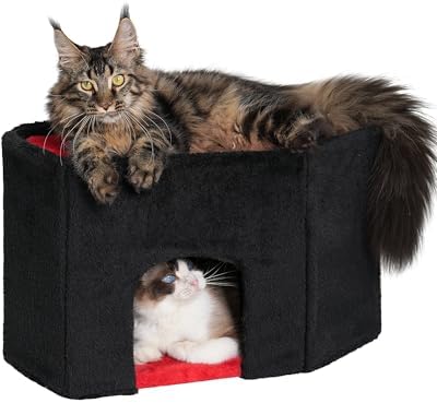 Gothic Cat Condo Cave for Large Adult Cats, Spacious Indoor Coffin Cat House Bed,Large 20x13.5inch Bunk Perch, Stable Cubbie for Pets Rabbits, Halloween Red Black