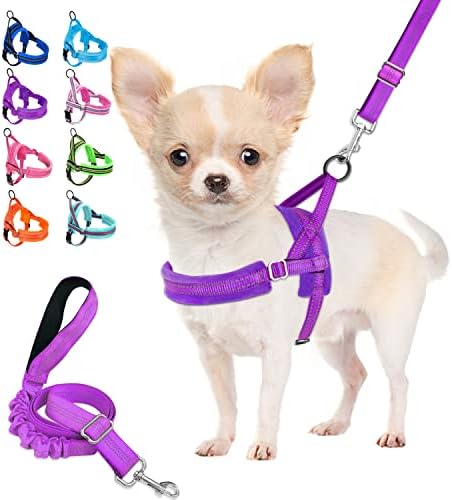 Lukovee Dog Harness and Leash Set, Soft Padded Small Dog Harness, Neck & Chest Adjustable Reflective Vest Puppy Harness with 4ft Lightweight Anti-Twist Dog Leash for Small Dogs (Purple, Medium)