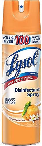 Lysol Disinfectant Spray, Citrus Meadows, 19 oz