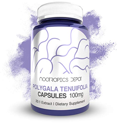 Nootropics Depot Polygala tenuifolia Capsules | 100mg | 90 Count | 20:1 Extract | Yuan Zhi | Promotes Cognitive Function, Learning and Memory | Supports Healthy Stress Levels | Adaptogen Supplement