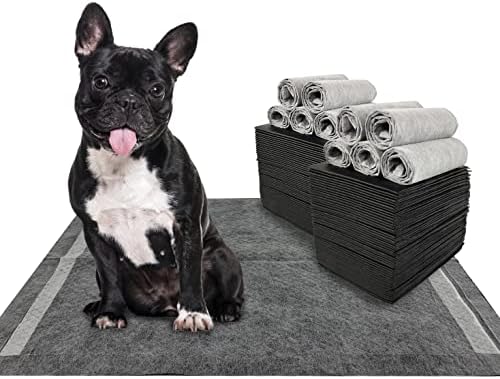 Charcoal Dog Training Pads 100 Count, 22"x22" Puppy Pee Pads for Small Dogs, Activated Carbon Dog Pee Pads, Disposable Puppy Pads Pet Training Pads