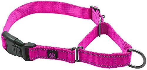 Max and Neo Nylon Martingale Collar - We Donate a Collar to a Dog Rescue for Every Collar Sold (Large, Pink)