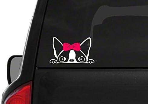 Peeking Boston Terrier Girl (A24) Pink Bow Vinyl Decal Sticker Car Laptop Window 6" Inch- by CustomDecal US