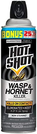 Hot Shot Wasp & Hornet Killer Spray For Insects, Eliminates The Nest, Sprays Up Tp 27 Feet, 17.5 fl Ounce