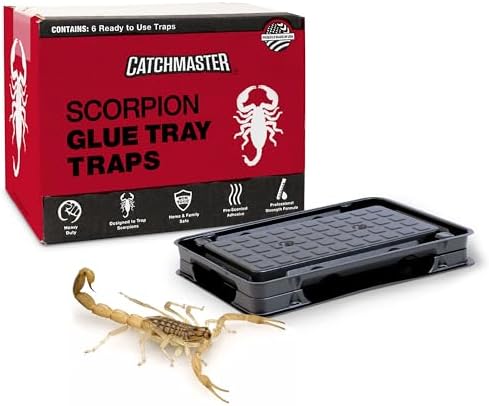 Catchmaster Scorpion Glue Tray Traps 6-Pack, Adhesive Scorpion Killer for Home, Simple Insect Traps Indoor, Sticky Bug Catcher for Kitchen, Garage, & Basement, Pet Safe Pest Control Glue Trap