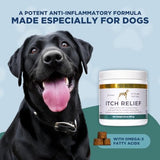 PetScy - Dog Itch Relief with Fatty Acids, EPA, DHA, & Omega, Nutritional Support, Chews for All Ages, Pork Flavor, 30 Chews