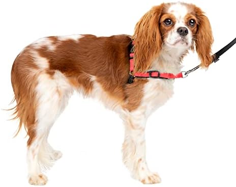 PetSafe Easy Walk Deluxe Dog Harness, No Pull Dog Harness – Perfect for Leash & Harness Training – Stops Pets from Pulling and Choking on Walks – Small, Rose