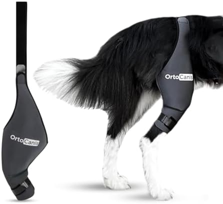 Ortocanis - Dog Knee Brace - For Right Hind Leg - Made of ARD Neoprene - For ACL Tear, Ligament Injuries, Patellar Luxation or Osteoarthritis - Size X-Large (14,2 - 16 ")