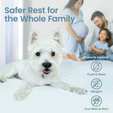 SafeRest 100% Waterproof Full Size Mattress Protector - Fitted with Stretchable Pockets - Machine Washable Cotton Mattress Cover for Bed - Perfect Bedding Airbnb Essentials for Hosts