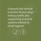 Standard Process - Canine Renal Support - Kidney Health for Dogs - 30 Grams