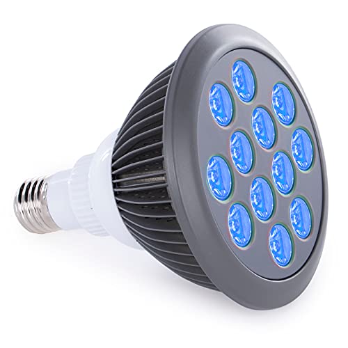 Blue Light Therapy Bulb by Hooga. Power Cord Included. 415 nm Wavelength. 12 LEDs. High Irradiance, Treatment for Acne and Sun Damage. Can Improve Skin Texture and Tigthen Skin.