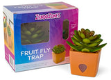 ZendoZones® Fruit Fly Trap 2 Pack, 1 ea of Mellow Molly & Serene Sandy Terra Cotta Base