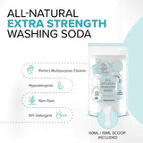 10 Pounds All-Natural Washing Soda (Soda Ash), Product of the USA. Eco Friendly Scoop and Recyclable Bag