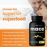 Organic Maca Root Capsules for Women & Men | 2100mg, 180 Vegan Capsules | Black, Red & Yellow Peruvian Gelatinized | Highest Potency Maca Root Powder Supplement | Supports Mood, Reproduction & Energy