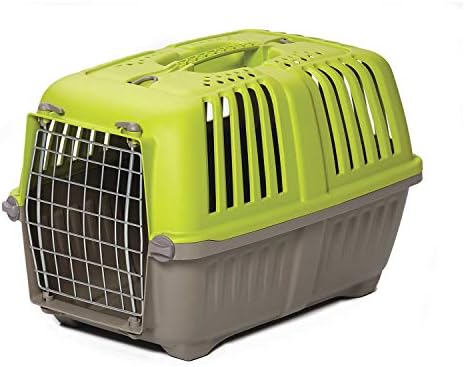 MidWest Homes for Pets Pet Carrier: Hard-Sided Dog Carrier, Cat Carrier, Small Animal Carrier in Green | Inside Dims 17.91L x 11.5W x 12H & Suitable for Tiny Dog Breeds