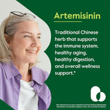 BESTVITE Artemisinin 200mg (60 Vegetarian Capsules) - No Stearates - No Flow Agents - Vegan - Non GMO - Gluten Free