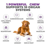 Mighty Petz MAX Dog Multivitamin - Senior & Adult Dog Vitamins 10 in 1 Complete Support for Joints, Immunity, Mobility, Gut, Energy, Skin Health. Daily Pet Chewable Supplement