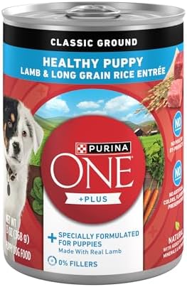 Purina ONE Plus Wet Puppy Food Classic Ground Healthy Puppy Lamb and Long Grain Rice Entree - (Pack of 12) 13 oz. Cans